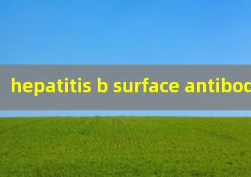 hepatitis b surface antibody